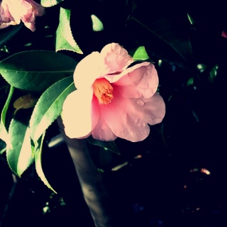 _c̃ItB[A