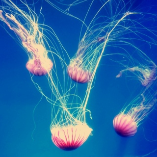 ���S���ŏt������ł�